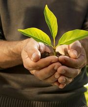 AOK Rheinland-Pfalz/Saarland - Worms Bild 1