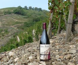 Vignobles Levet image 1
