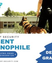 Autop Security image 5