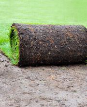 ROLLRASEN - Hier klicken!