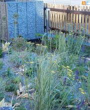 Wicke.Gärten Bild 13