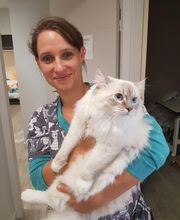 Cabinet Vétérinaire Karen Charlet image 7