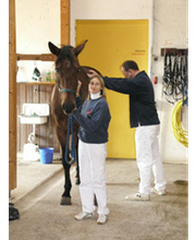 Tierärztliche Klinik Reichenberg Evidensia GmbH Bild 6