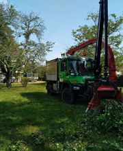 Sempervirens image 9