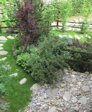 Bangerter Gartenbau AG Bild 2