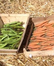 Le Jardin Adelis image 3