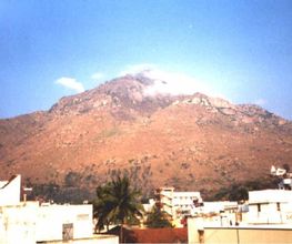 Rossmann Burkhard Bild 5
