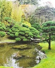 Freier Landschaftsgestaltung GmbH Bild 3