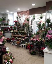 La Tulipe Noire image 8