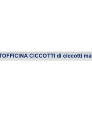 Autofficina Ciccotti Castrol Service immagine 4
