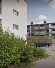 Dr. med. dent. Bernadette Kaufmann-Wyss Bild 2