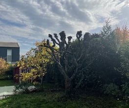 Alpes Jardins Tirozzini Paysagiste Bild 7