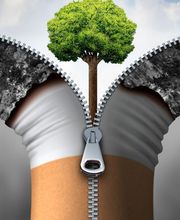 Vilerio Elodie image 17