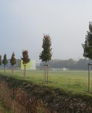 Frys Paysage SAS image 11