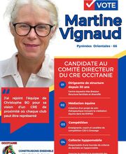 Construisons Ensemble l'Equitation de Demain image 14