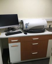 Duvivier Sophie image 16