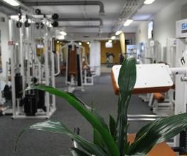 Fitstone Machern Bild 2