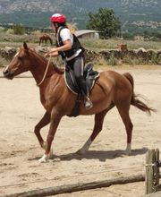 Escuela de Doma Clásica EV imagen 6