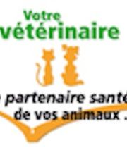 Joubert Patricia image 1