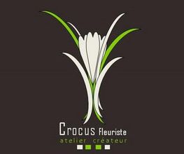 Crocus image 3