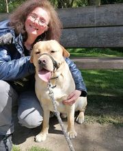 V'Educ-ton-chien image 2