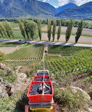 Cave de la Brunière Sàrl Bild 2