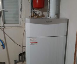 Ent Chapuis image 17