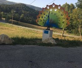 Calautti Jérôme image 3