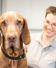 Tierarzt Waghäusel, Tierarztpraxis Waghäusel-Kirrlach Bild 14