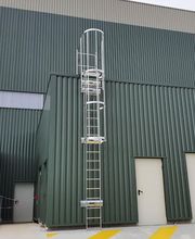 Anoxa image 4