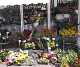 Arc En Fleurs image 2