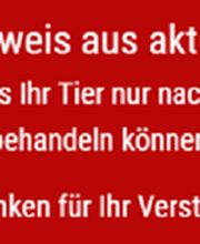 Tierärztin Dr. med. vet. Lehmann Bild 2