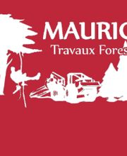 Maurice Travaux Forestiers image 3