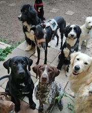 Martin Hofmann Bild 17