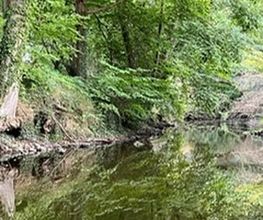 Ferienhaus am Fluss Bild 12