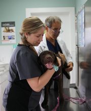 Borash Veterinary Clinic image 3