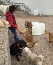 A Dog's World image 6