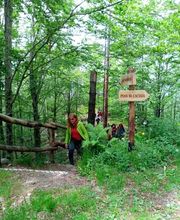 Art Imagery di Patrizia Garberi immagine 8