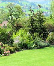 Müko Gartengestaltung AG Bild 4