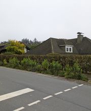 Felix Schön Garten- und Landschaftspflege