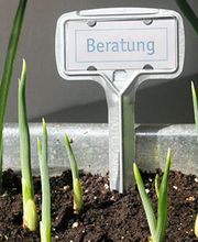 KiTHU Consulting Bild 1