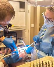 Gildner Family Dentistry of Lexington image 2