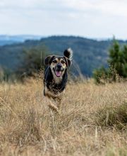 Sarah Genuit Fotografie Bild 3