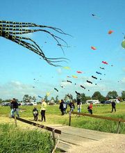 Ferienhof Bruns Bild 24