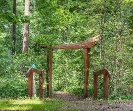 FriedWald Fürstenwalde Bild 8