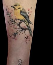 Merlin Saz Tattoo image 2