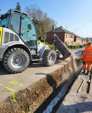 Marechal T P N image 6