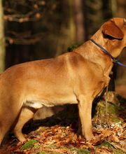 Tanja Wiedenmann Bild 10