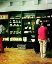 Vini Cappelletti AG Bild 8