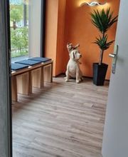 Kleintierpraxis Breitibach, Claudia Hälg Bild 7